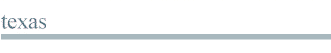 texas.gif (1533 bytes)